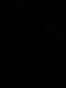 noorqwertzn Webbikameraesitys