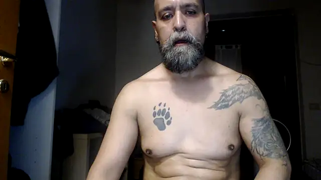 AMIRDIB2025 라이브 XXX 채팅