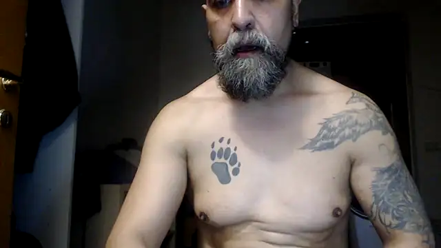 AMIRDIB2025 웹캠 쇼