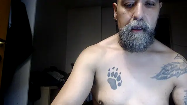 AMIRDIB2025 Chat XXX live