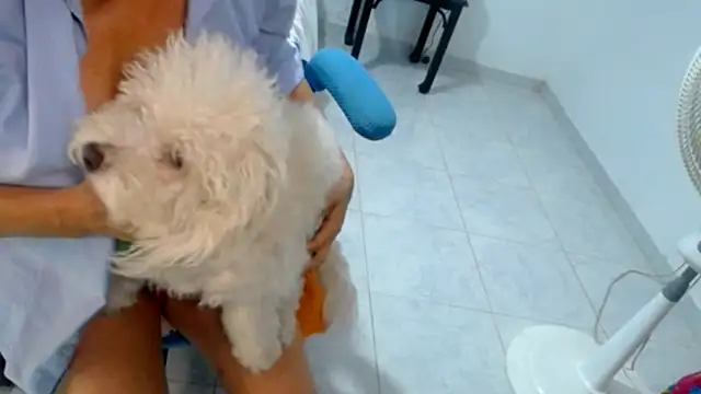 Chat XXX Live Xiimen