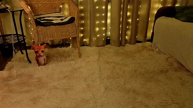 RozanneJordan Live XXX-chat