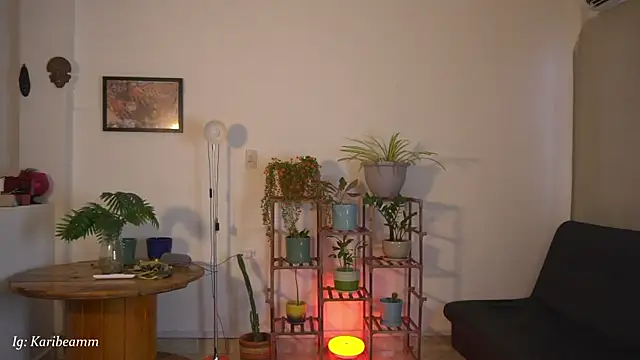 Karibeam 现场XXX聊天