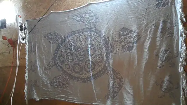 دردشة ExquisiteMature الجنسية المباشرة