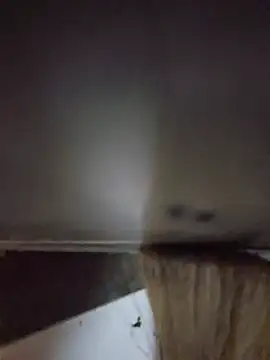 RikzAdam Live XXX Chat