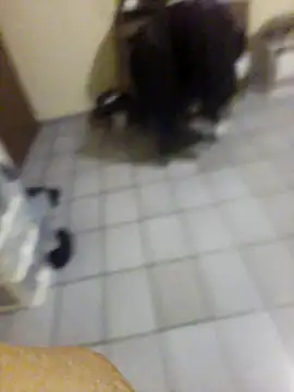 Chat +18 de Tesseusgostoso ao vivo