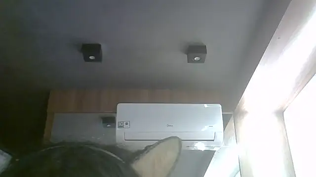 Chat XXX ao vivo de SkinnyKitten