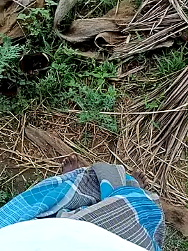 dolphiinn লাইভ XXX চ্যাট