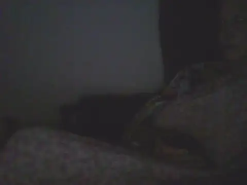 Bebita-zmp Live XXX-chat