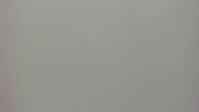 velvet_girll's Live XXX Chat