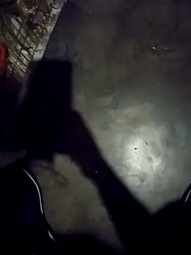 Vandicrioot Pertunjukan Webcam