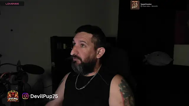 DevilPup75_ লাইভ XXX চ্যাট