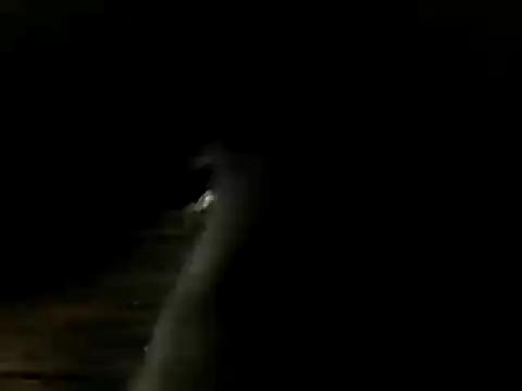 demiandem: διαδικτυακό σόου στην κάμερα