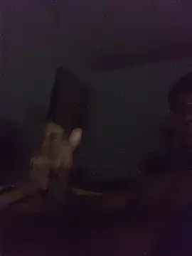Fer1846 webcam show