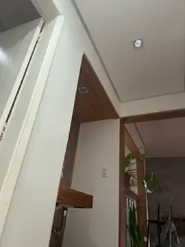 Chat XXX en directo de Nikatsu