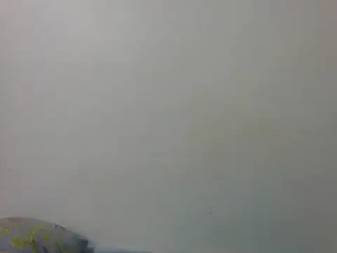 Chat XXX ao vivo de sweet_naughty
