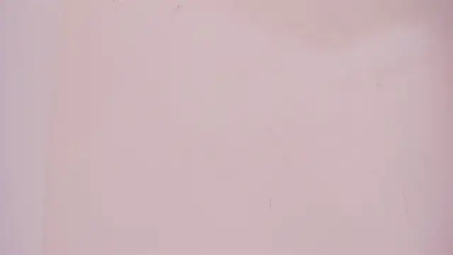 lizmonroee Adlı Modelin Canlı XXX Sohbeti