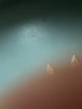 Živý XXX chat yinyin326