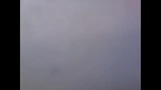 081547 élő XXX-chatje