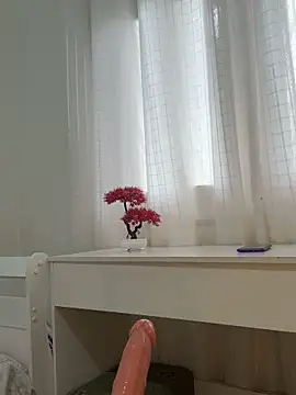 Chat +18 de Nicollebr ao vivo