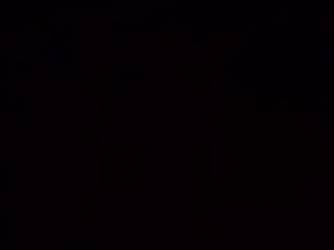 Juliaobig élő XXX-chatje