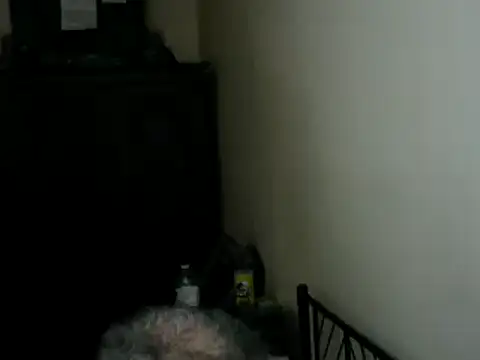 Show de 100Tauros na webcam