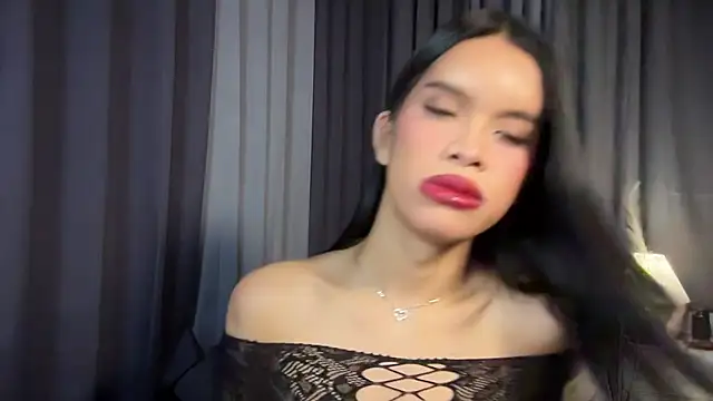 Candicemeow 라이브 XXX 채팅