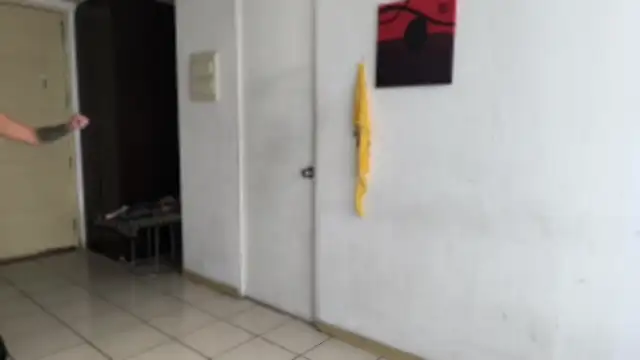 Diosagata élő XXX-chatje