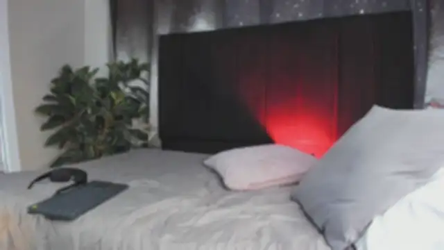 NovaaWheler 라이브 XXX 채팅