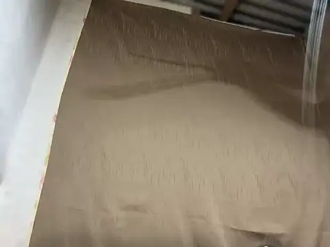 You_Got_Riri Live XXX Chat