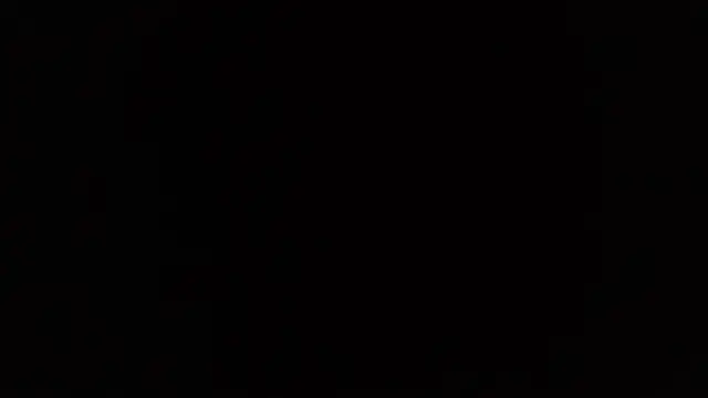 avans_15 现场XXX聊天