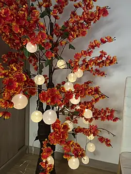 VictoriaHiill 现场XXX聊天
