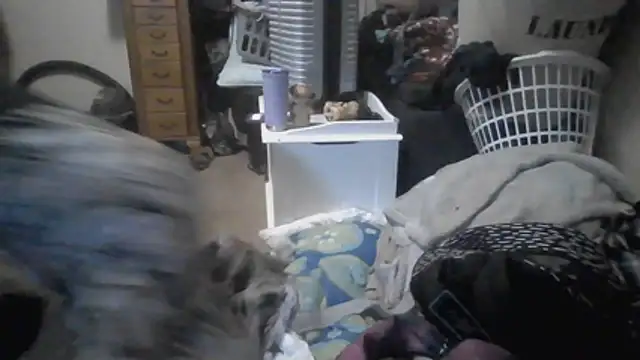 Show Webcam de TWiSTYTheTwizted