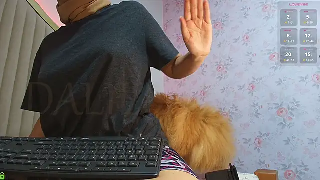 Chat +18 de dalilasaadi_ ao vivo
