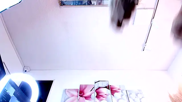 Czat XXX na żywo – Tommy_valverde