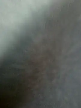 SolitaryMisfit8's Webcam Show