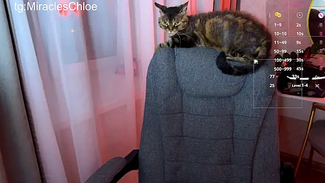 Czat XXX na żywo – ChloeMillerMeow