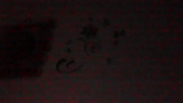 Cunilingustotal10 Show in webcam