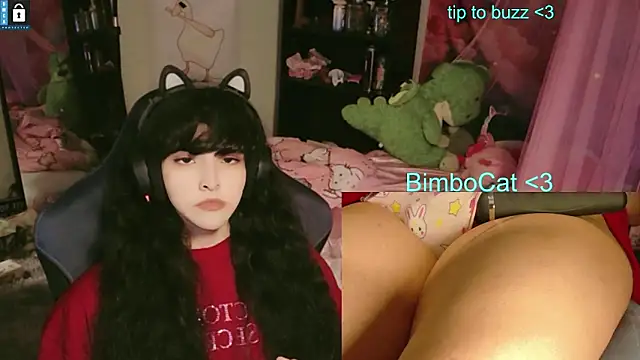 BimboCat's Live XXX Chat