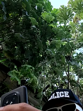PIGHIGHDIRTY_p0 现场XXX聊天