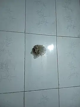 دردشة Cucci07 الجنسية المباشرة