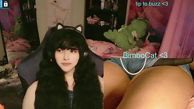 BimboCat Chat XXX live
