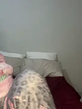 CamilaXXX20 live XXX chat