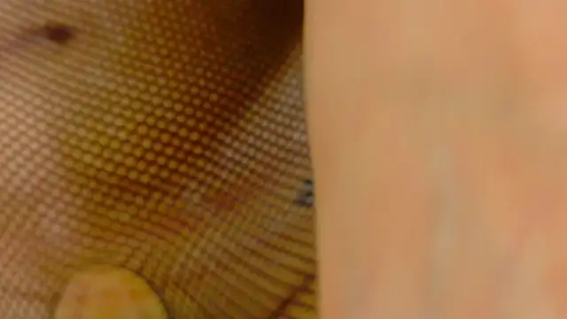 XXX chat uživo modela lanna_w