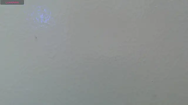 maxim_rod 现场XXX聊天