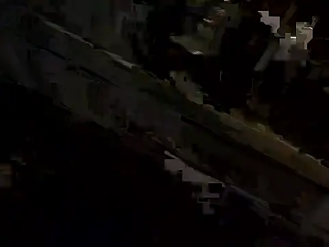 dzbenn 웹캠 쇼