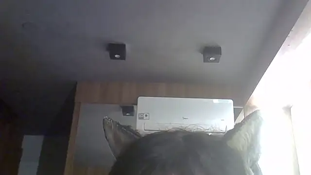 Show de webcam de SkinnyKitten
