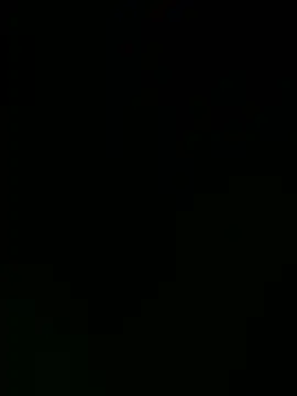 Samir_bear 现场XXX聊天