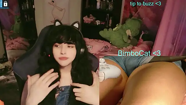 BimboCat Chat XXX in diretta