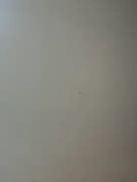 DaniDusan_ XXX чат на живо